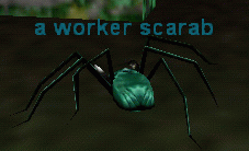a worker scarab