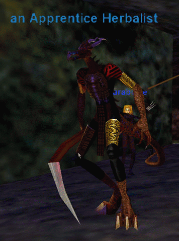 an Apprentice Herbalist