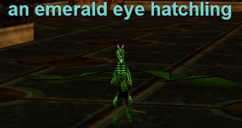 an emerald eye hatchling