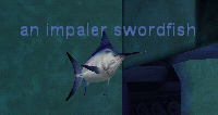 an impaler swordfish