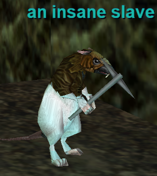 an insane slave