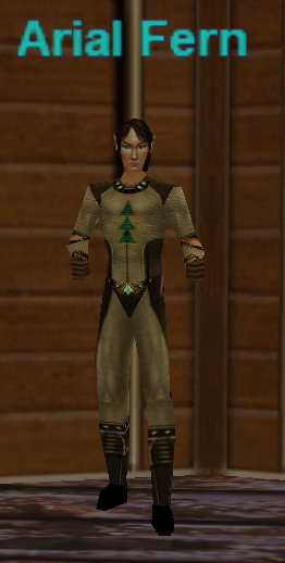 Arial Fern