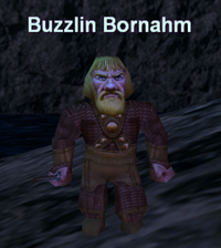 Buzzlin Bornahm[1]