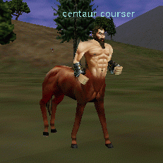 centaur courser