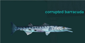 corrupted barracuda