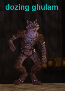 dozing ghulam