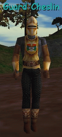 Guard Cheslin[1]