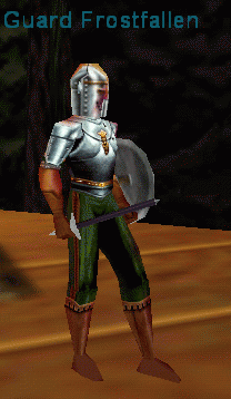 Guard Frostfallen