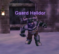 Guard Halldor