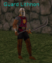 Guard Lithnon