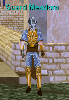 Guard Meadom