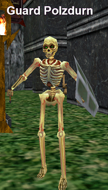 Guard Polzdurn
