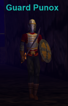Guard Punox