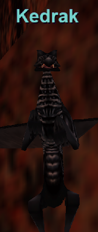 Kedrak