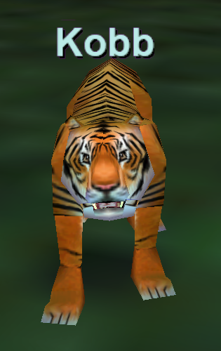 Kobb