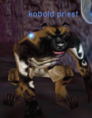 kobold priest