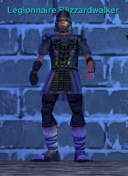 Legionnaire Blizzardwalker