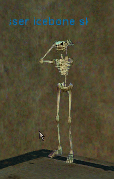 lesser icebone skeleton