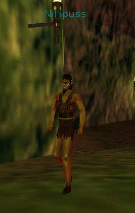 Nillipuss