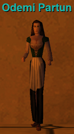 Odemi Partun