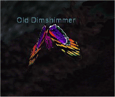 Old Dimshimmer