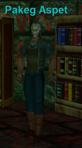 Pakeg Aspet