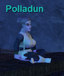 Polladun