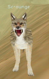 Scrounge