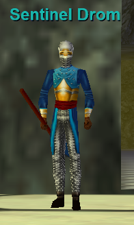 Sentinel Drom