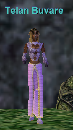 Telan Buvare