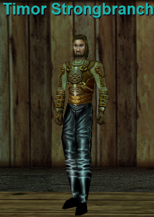 Timor Strongbranch