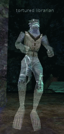 tortured librarian