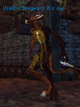 Watch Sergeant Riz`oul