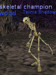 skeletal champion