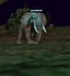 An Elephant.JPG