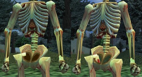 Enhanced Skeleton Example.jpg