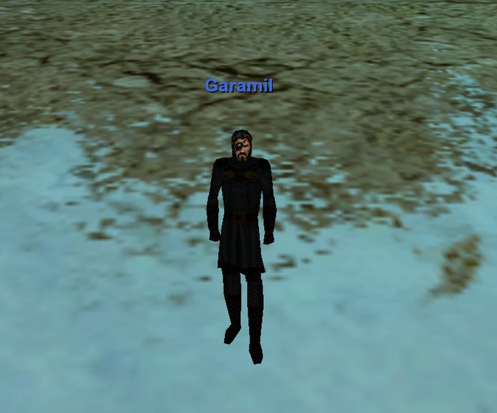 File:Full black wolf armor.png