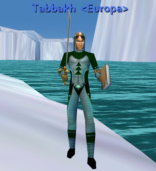 File:Imbued Elven Chainmail Front.jpg