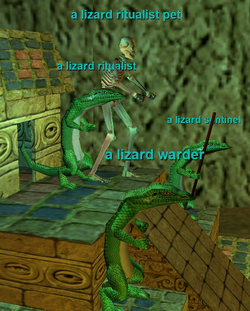 A Lizard Ritualist
