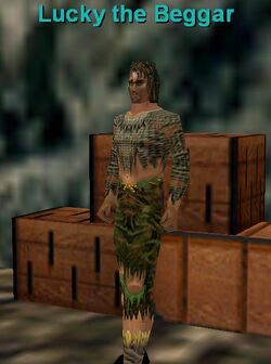 Lucky the Beggar