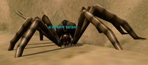 a desert tarantula
