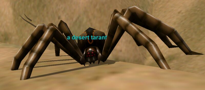File:Npc a desert tarantula.jpeg