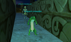 a lizard crusader