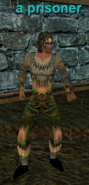 File:Npc a prisoner HHK.png