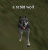 Npc a rabid wolf.png
