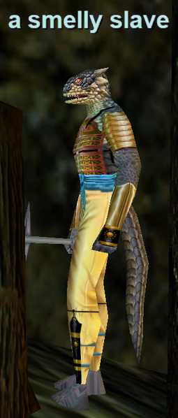 File:Npc a smelly slave.png