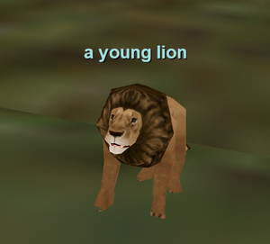 a young lion