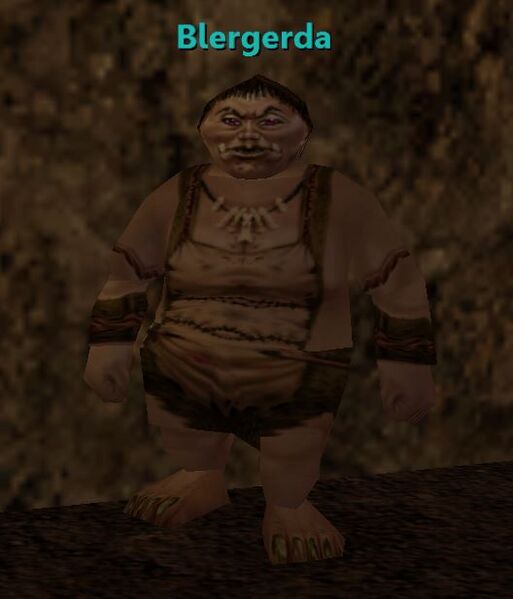 File:Npc blergerda.JPG