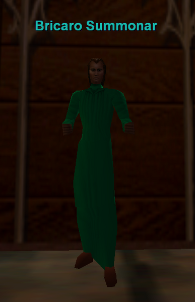 File:Npc bricaro summonar.png