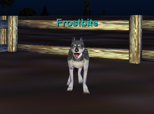 Frostbite